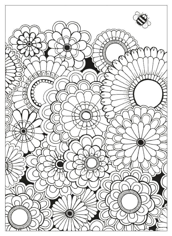 Coloring Flowers. Category coloring antistress. Tags:  flowers.