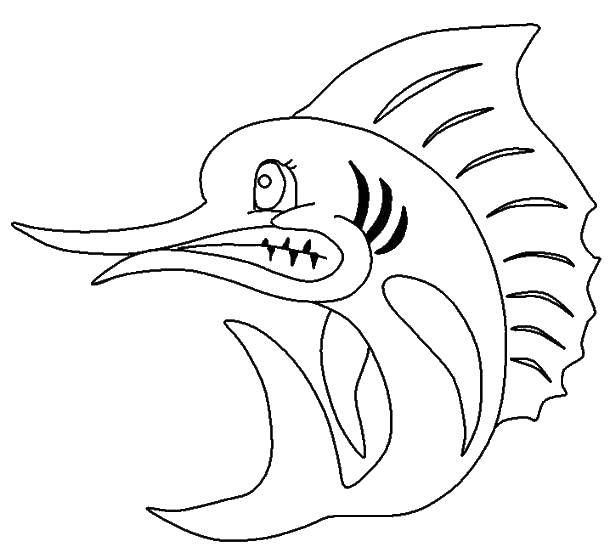 Название: Раскраска Вредная рыба меч. Категория: раскраски. Теги: Подводный мир, рыба.