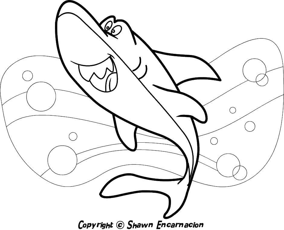 Coloring Shark. Category Sharks. Tags:  sharks, fish, water.