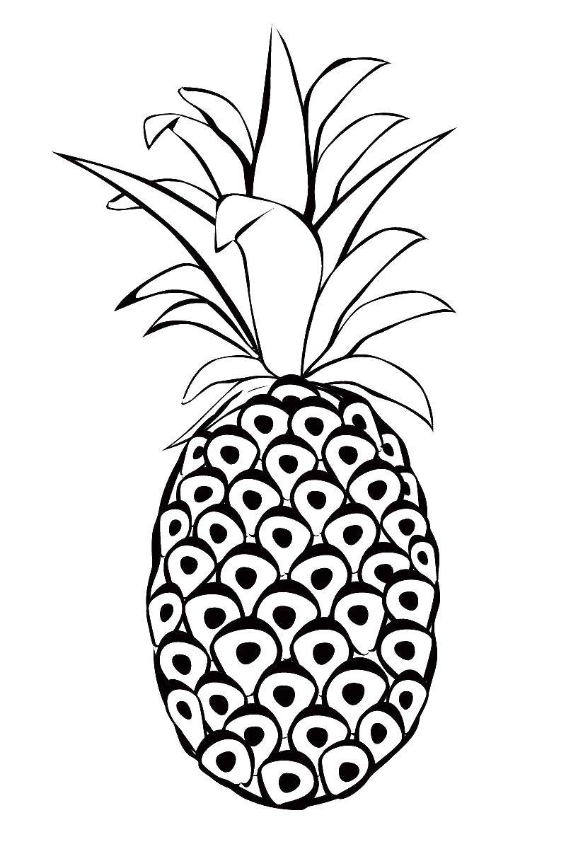 Coloring Pineapple.. Category fruits. Tags:  berries, fruit, pineapple.