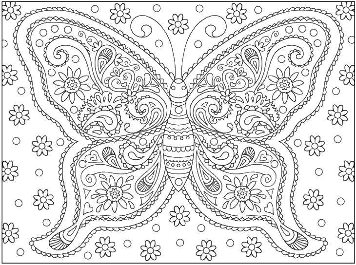Coloring Butterfly. Category coloring antistress. Tags:  butterfly.