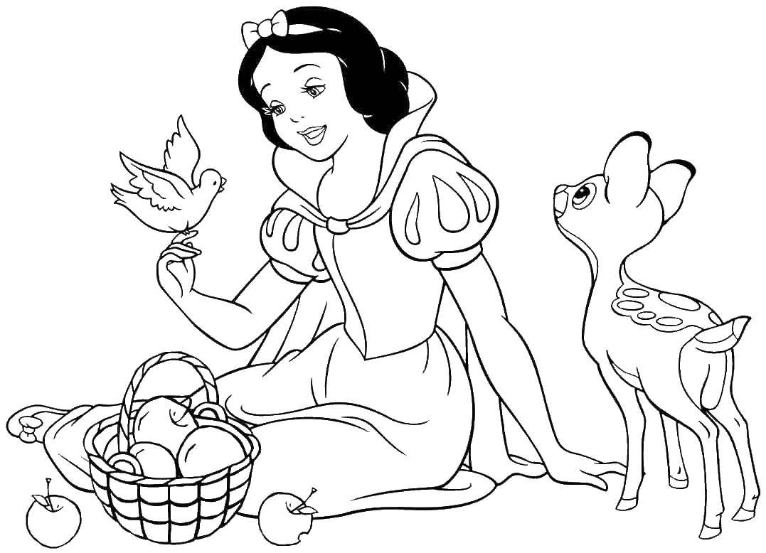 Coloring Snow white with bird and fawn. Category snow white. Tags:  fairy tales, cartoons, snow white.