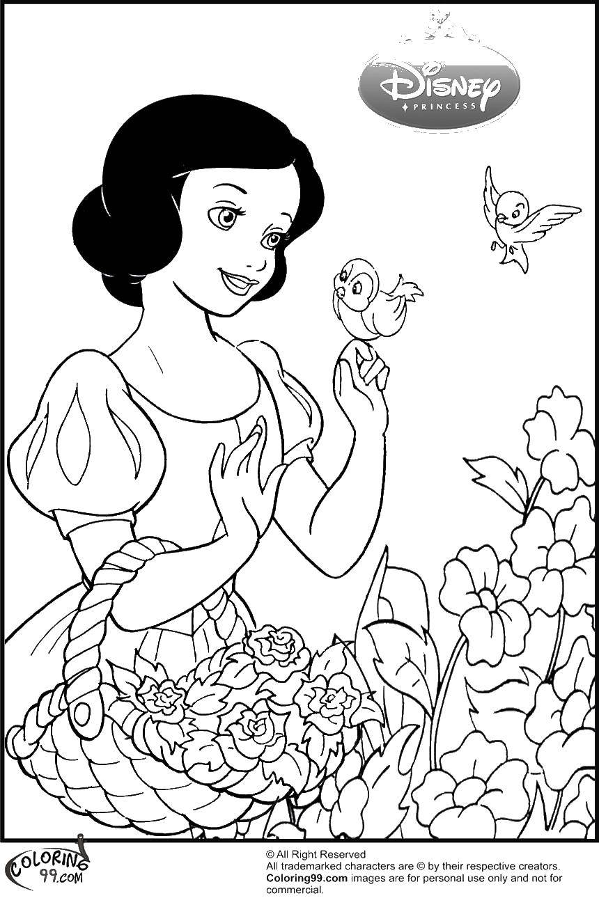 Название: Раскраска Белоснежка с птицами и цветами. Категория: белоснежка. Теги: принцессы, мультфильмы, сказки, Белоснежка.