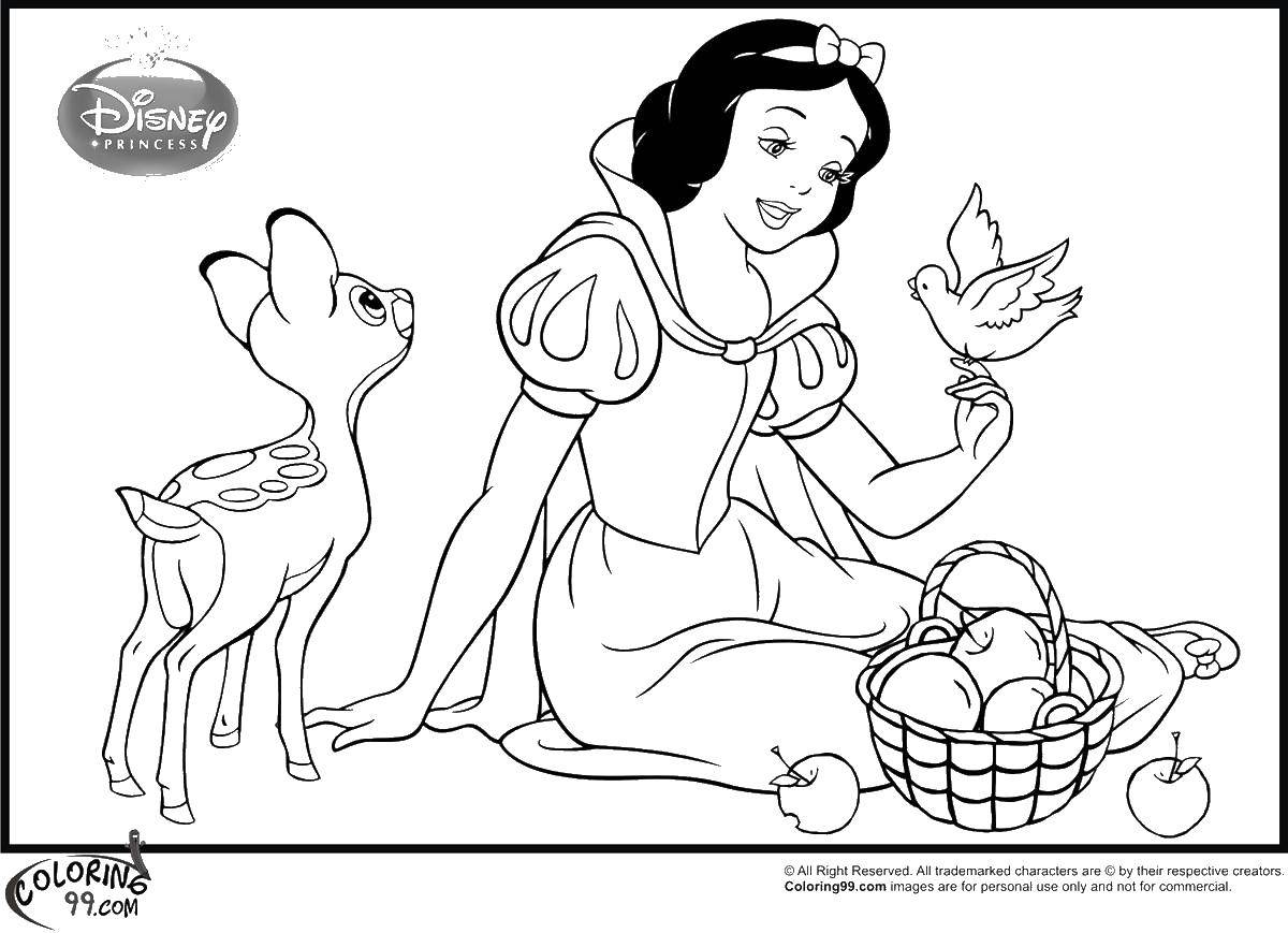 Coloring Snow white. Category snow white. Tags:  princesses, cartoons, fairy tales, Snow white, animals.