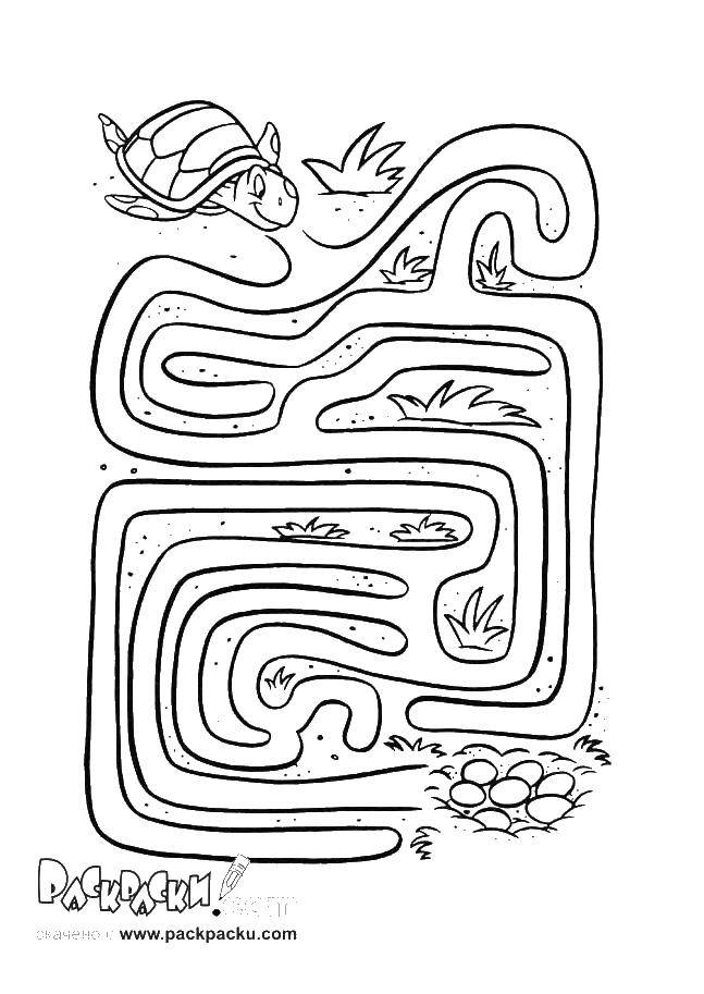 Coloring Bug and eggs. Category the labyrinth. Tags:  the labyrinth, turtle, eggs.