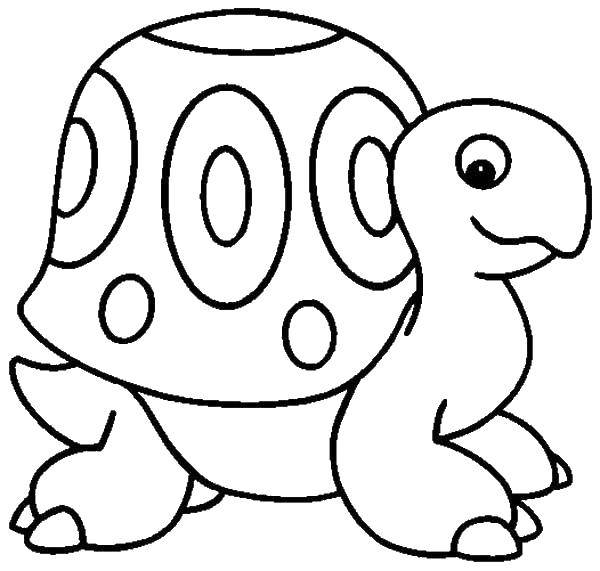 Coloring Bug. Category Turtle. Tags:  turtle, shell, uzorchiki.