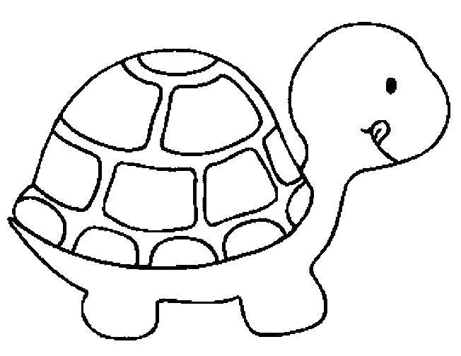 Coloring Bug. Category Turtle. Tags:  turtle, tortoise, animal, shell.