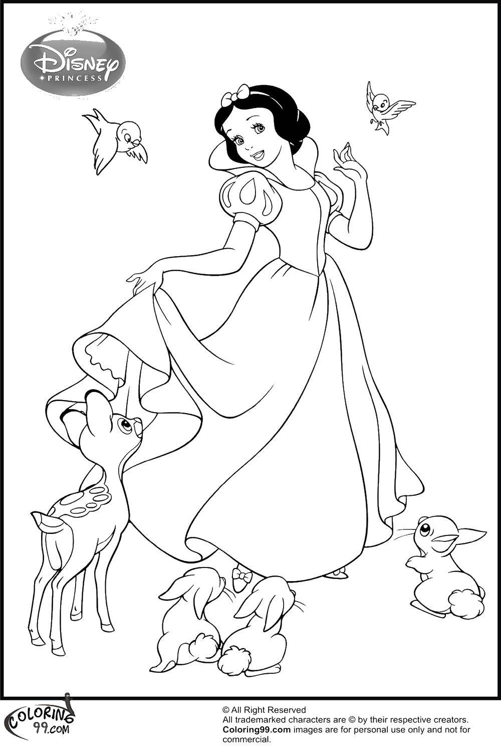 Coloring Disney snow white. Category snow white. Tags:  Snow white, princesses, cartoons, fairy tales.