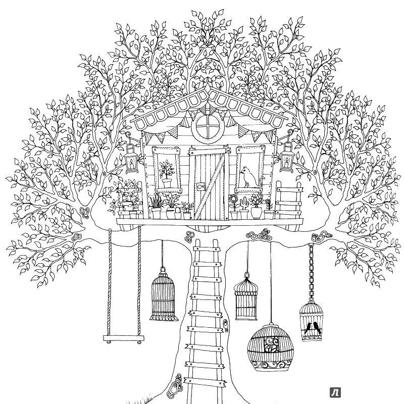 Coloring Bird house. Category coloring antistress. Tags:  antisress, patterns, birds, tree.