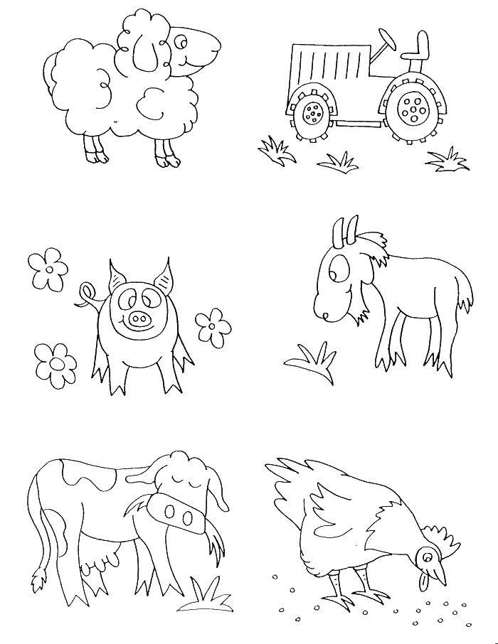 Название: Раскраска Домашний скот и трактор. Категория: домашние животные. Теги: скот, домашние животные, ферма.