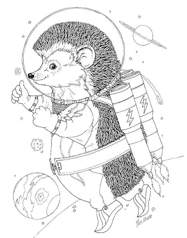 Coloring Hedgehog in space. Category space. Tags:  space, hedgehog, planet.