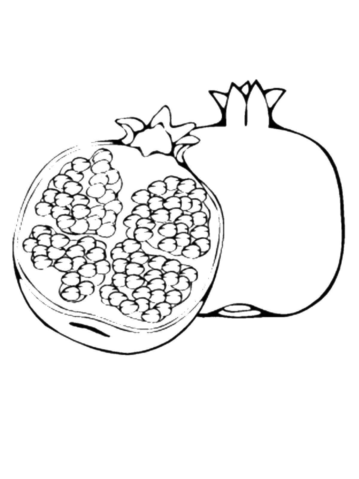 Coloring Garnet ratree. Category fruits. Tags:  fruit, pomegranate.