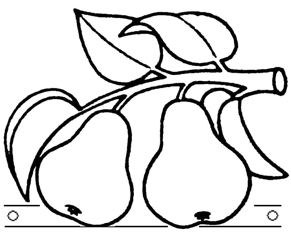 Название: Раскраска Груши на ветке. Категория: фрукты. Теги: фрукты, груши.