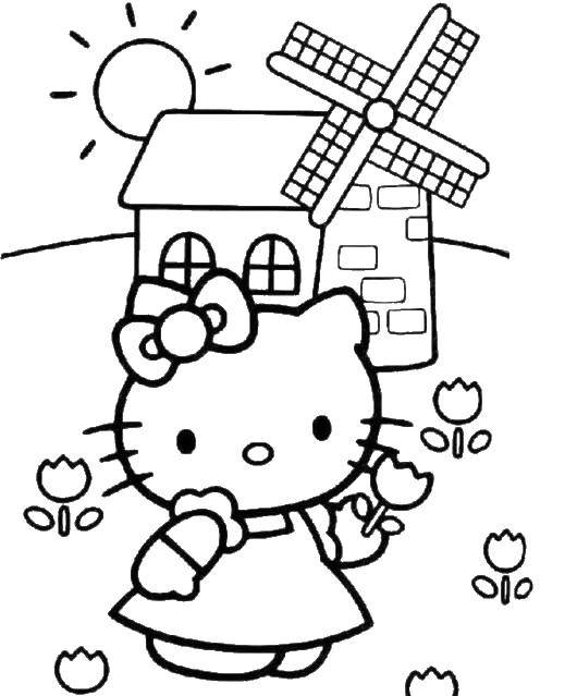 Coloring Hello kitty with tulips. Category Hello Kitty. Tags:  Hello kitty, tulips, mill.