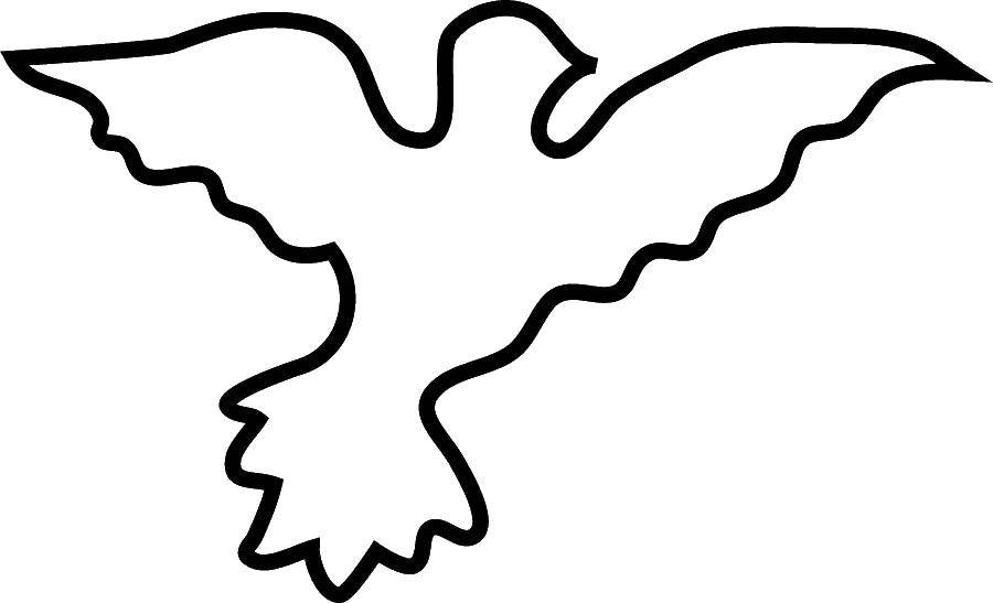 Coloring The outline of a soaring bird. Category birds. Tags:  the birds, outlines.