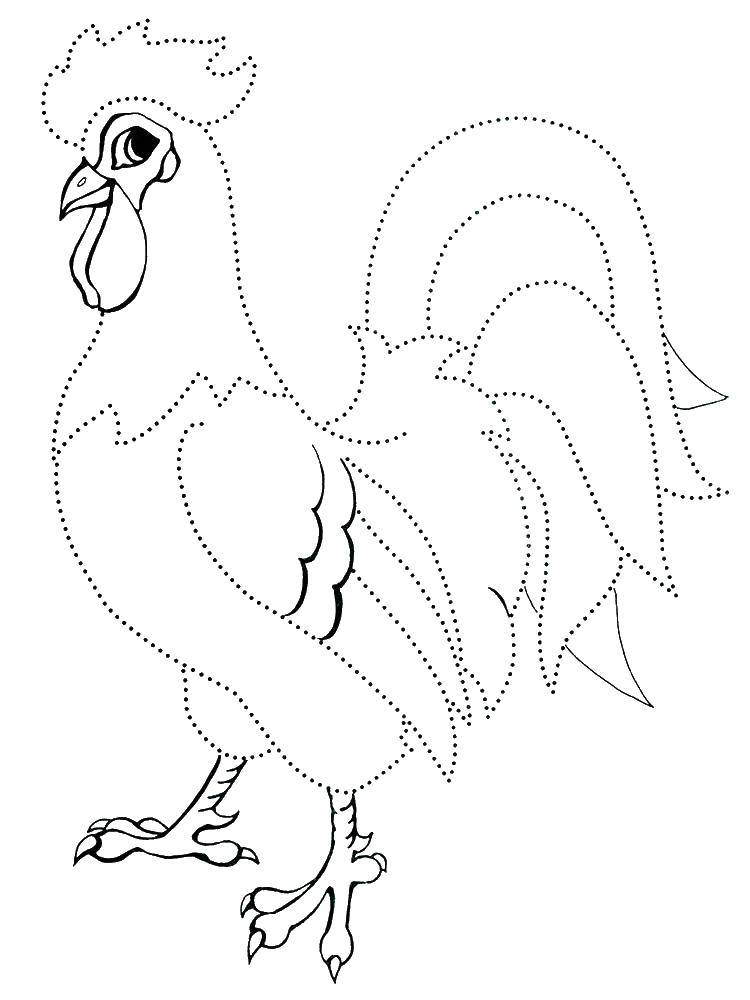 Название: Раскраска Контур петушка. Категория: Контуры птиц. Теги: контуры, птицы, петух.