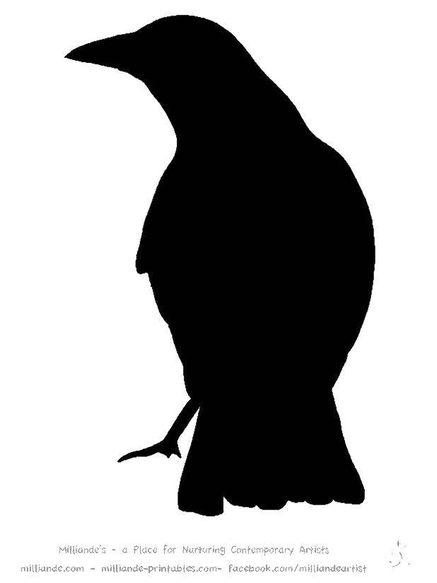 Coloring Outline birds. Category The contours for cutting out the birds. Tags:  the contours, patterns, crows, birds.
