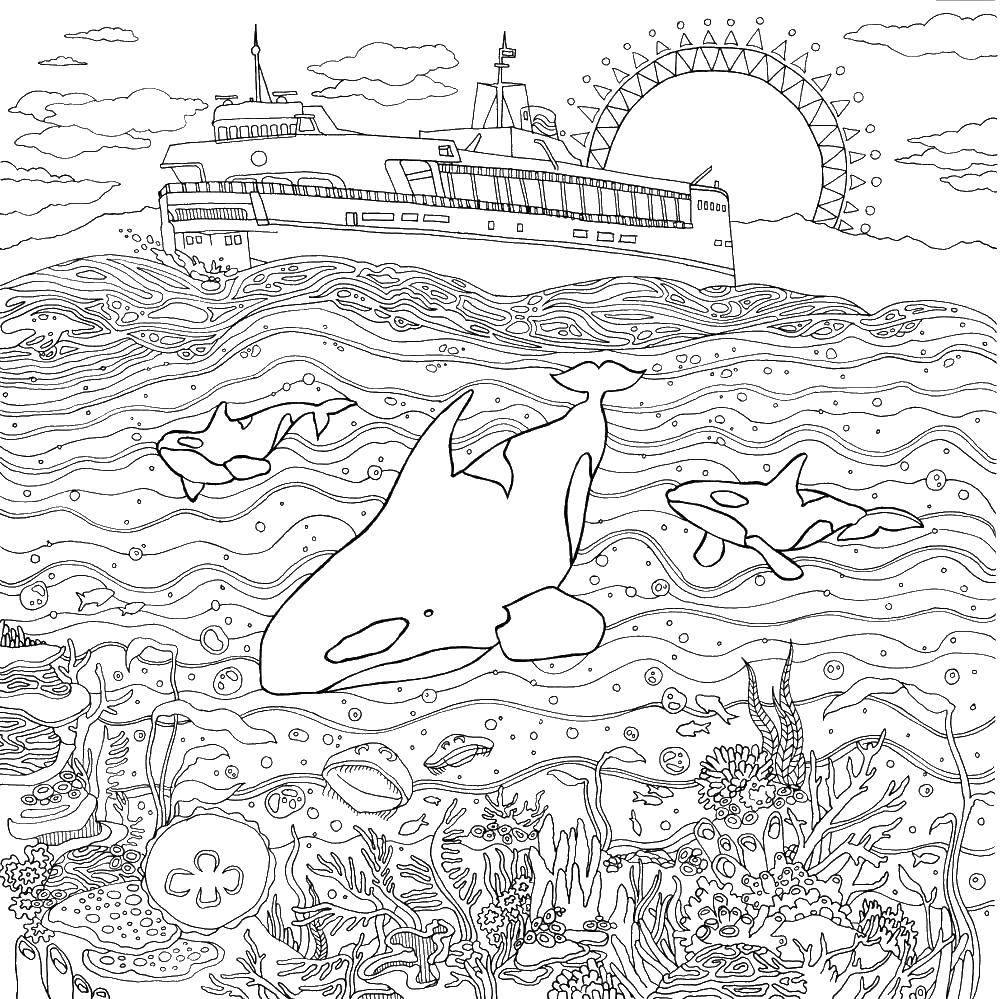 Название: Раскраска Корабль и подводный мир. Категория: Морской мир. Теги: море, вода, подводный мир, дельфины, корабль.