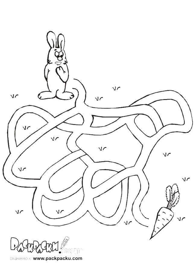 Coloring Rabbit and carrot. Category the labyrinth. Tags:  maze, Bunny, carrot.