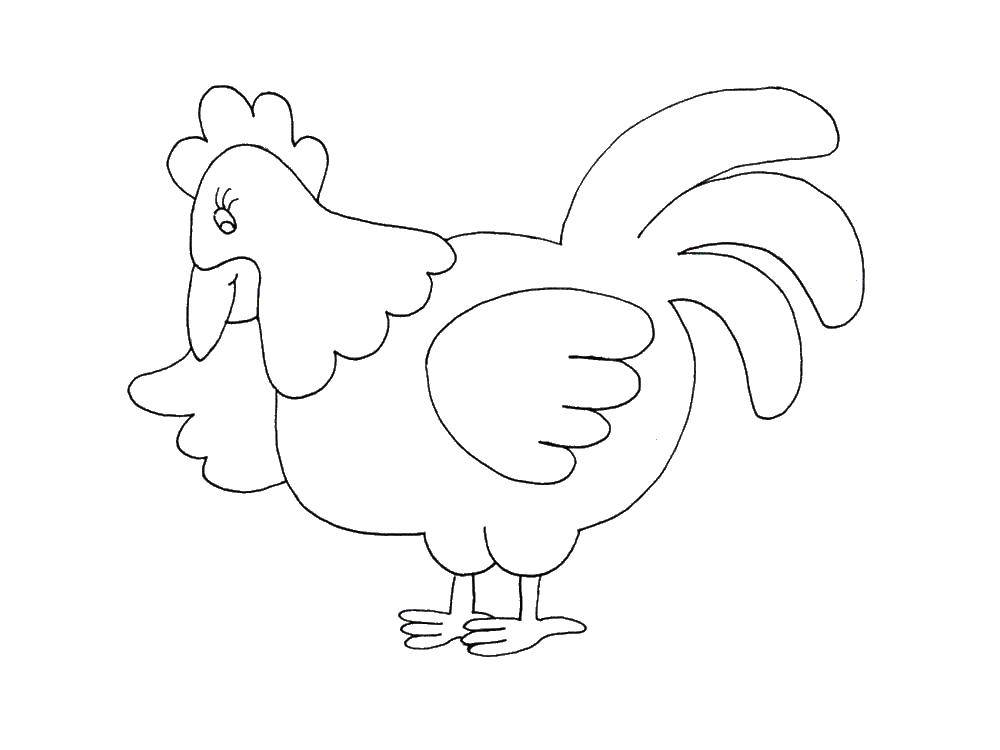Название: Раскраска Курочка. Категория: домашние животные. Теги: птицы, курицы.