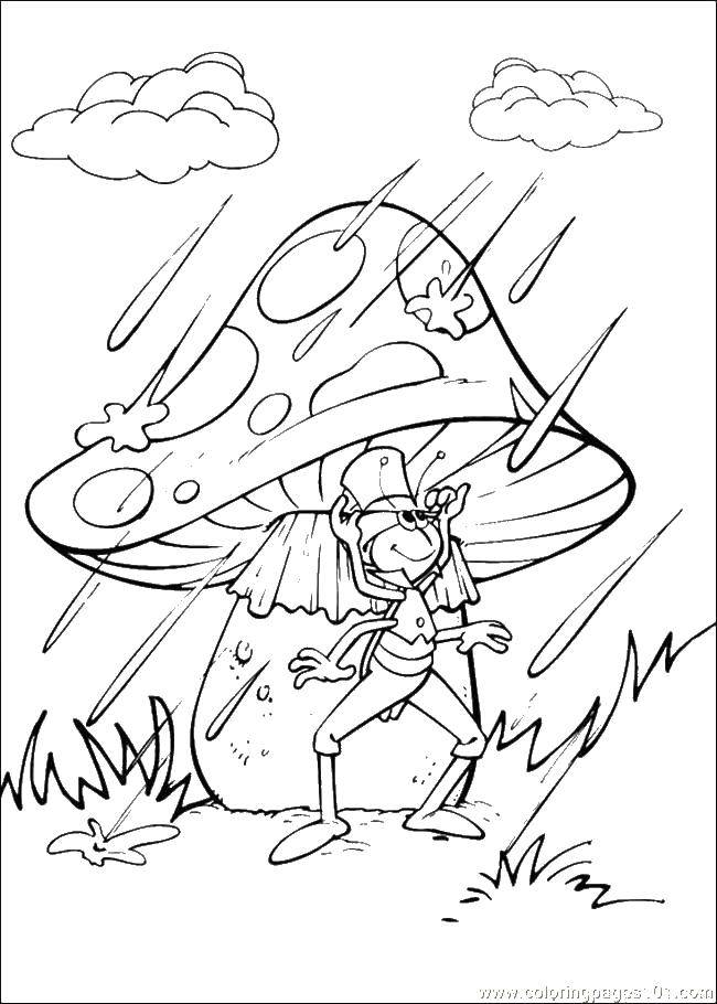 Название: Раскраска Кузнечик под грибком. Категория: кузнечик. Теги: дождь, кузнечик, гриб.