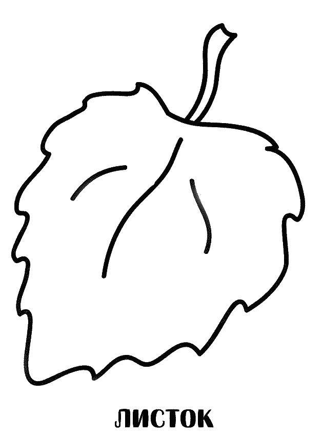 Coloring Leaf. Category coloring antistress. Tags:  leaf.