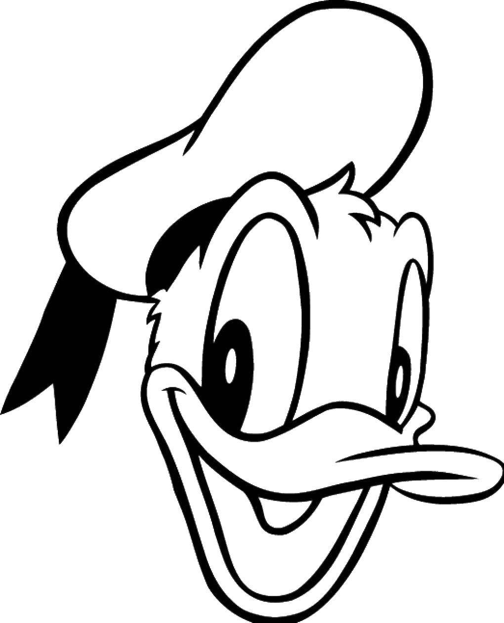 Coloring The face of Donald duck. Category Disney cartoons. Tags:  cartoons, Donald duck, Disney.