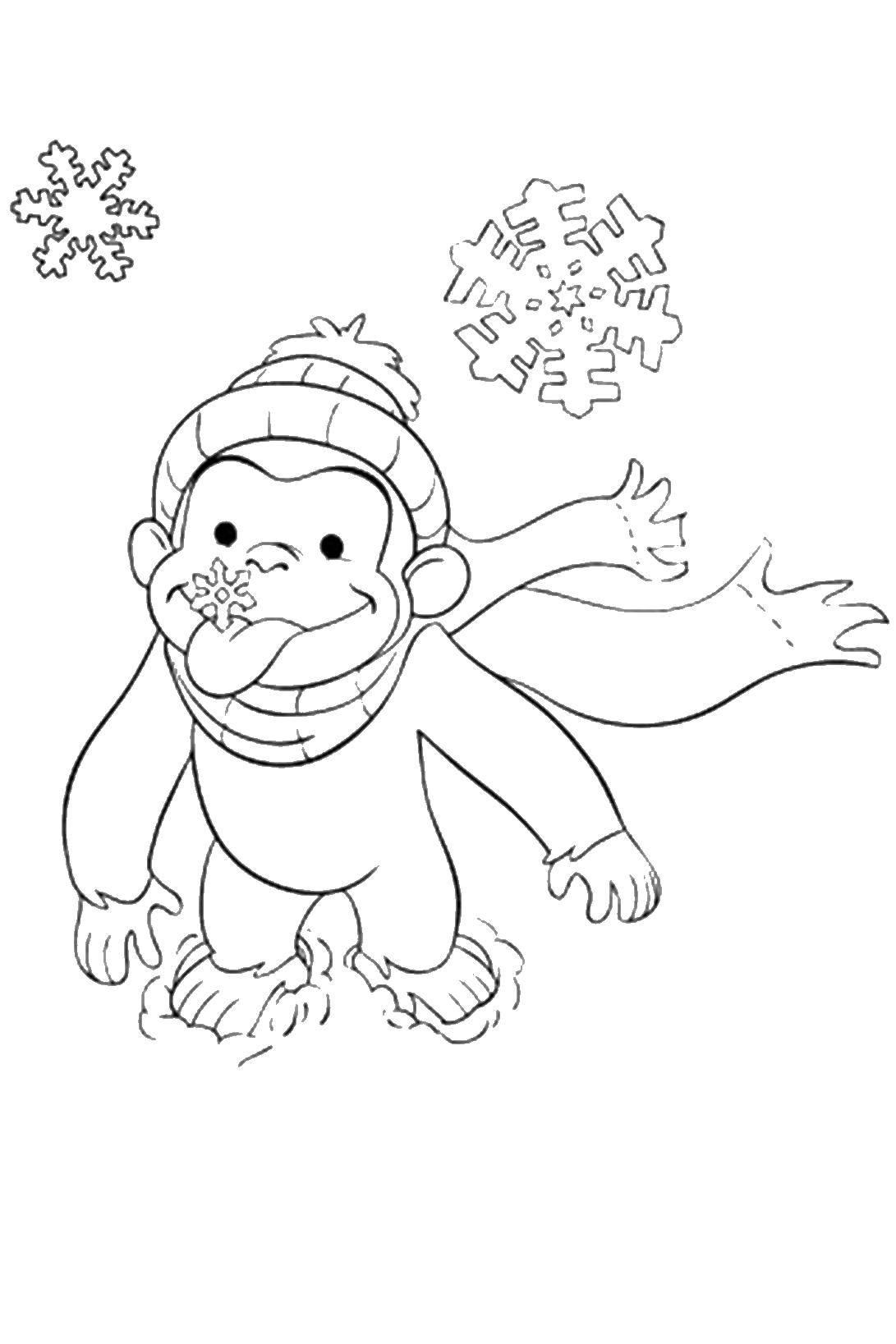 Coloring Monkey in winter. Category winter. Tags:  winter, snow, monkey.
