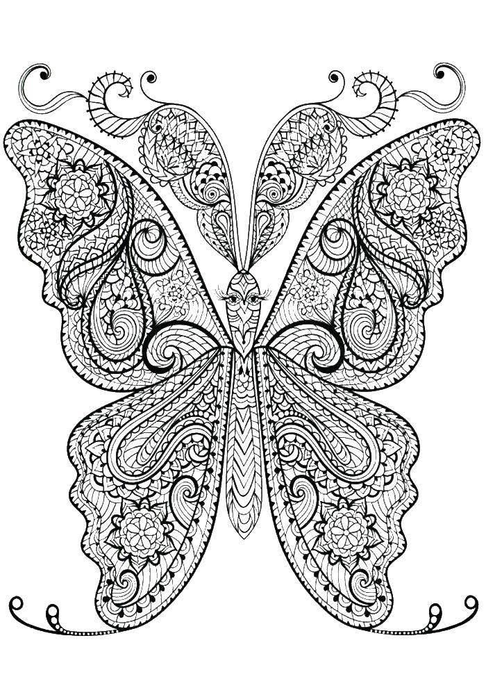Название: Раскраска Очень красивая узорчатая бабочка. Категория: бабочки. Теги: бабочки, крылья, узоры, антистресс.
