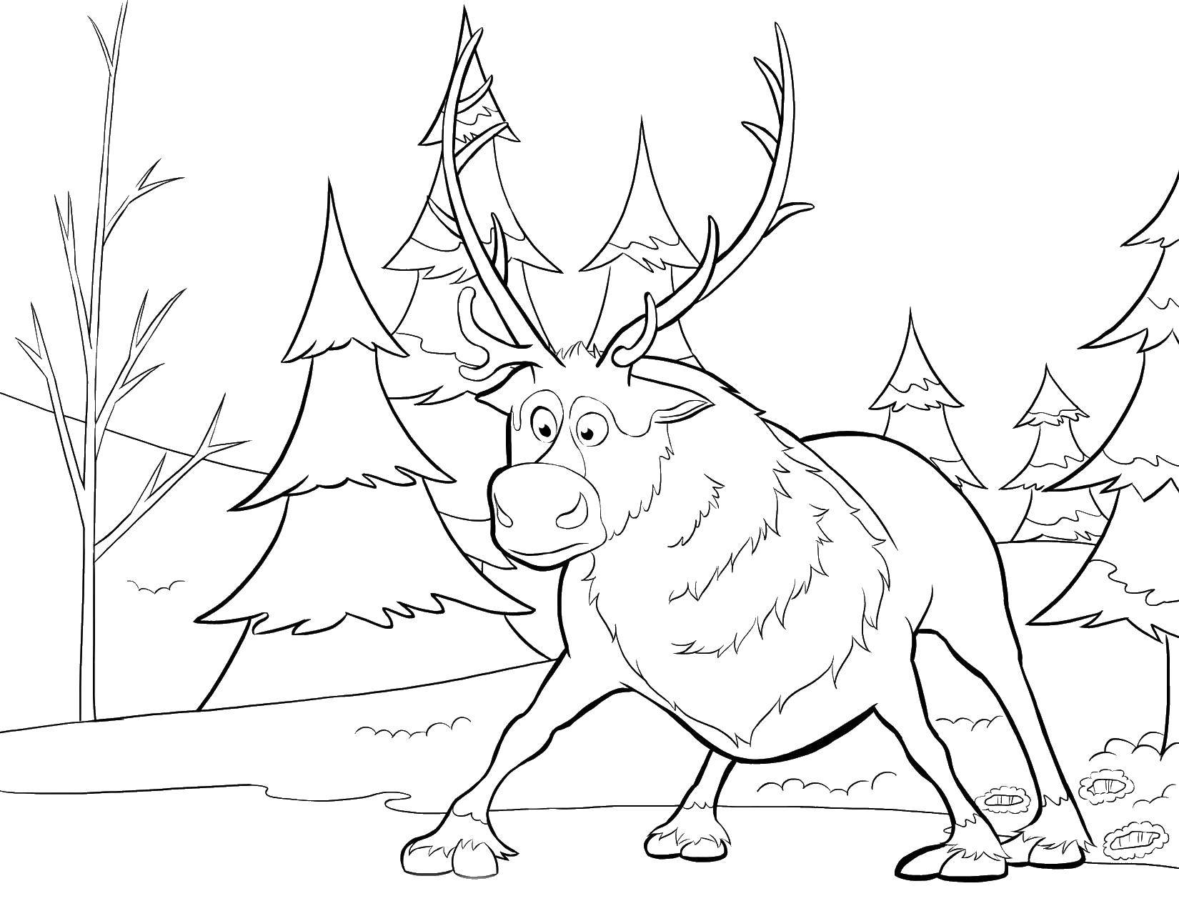 Coloring Deer on ice. Category Animals. Tags:  the deer.