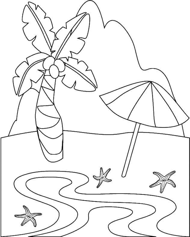 Название: Раскраска Пальма с зонтом у моря. Категория: Пляж. Теги: пляж, море, пальма.