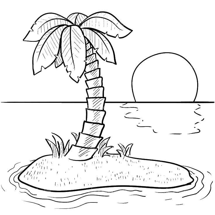 Название: Раскраска Пальма. Категория: Пляж. Теги: пляж, пальма.