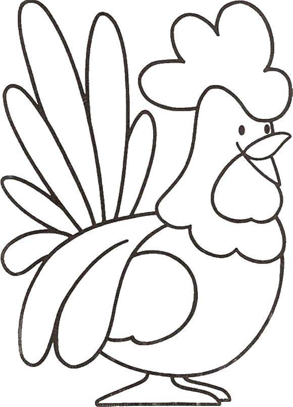 Coloring Cock. Category birds. Tags:  rooster, poultry.