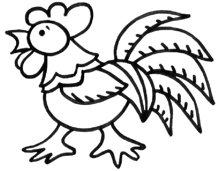 Coloring Cock. Category coloring for little ones. Tags:  for little, babies, cock.