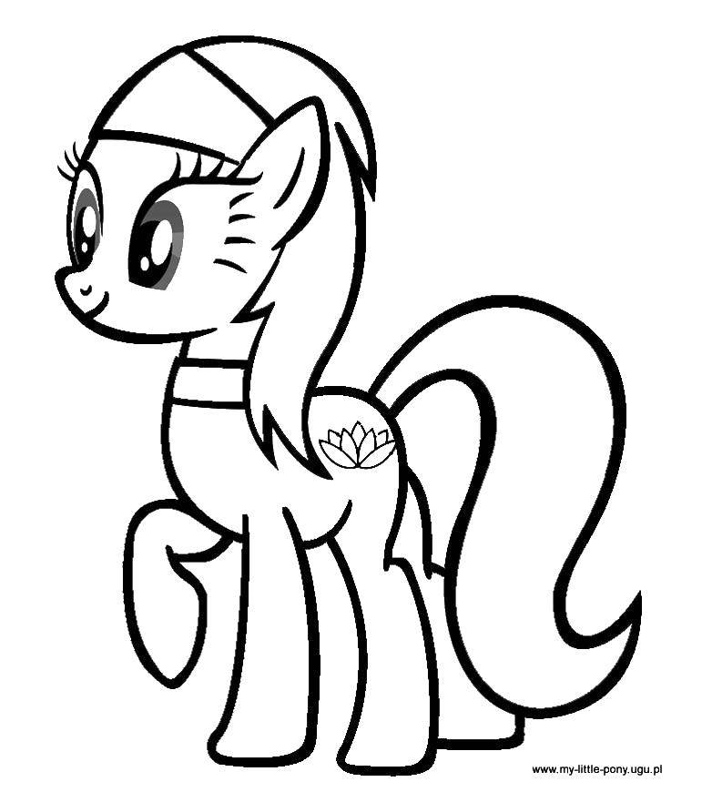 Coloring Pony Lotus. Category Ponies. Tags:  pony, my little pony, horses.