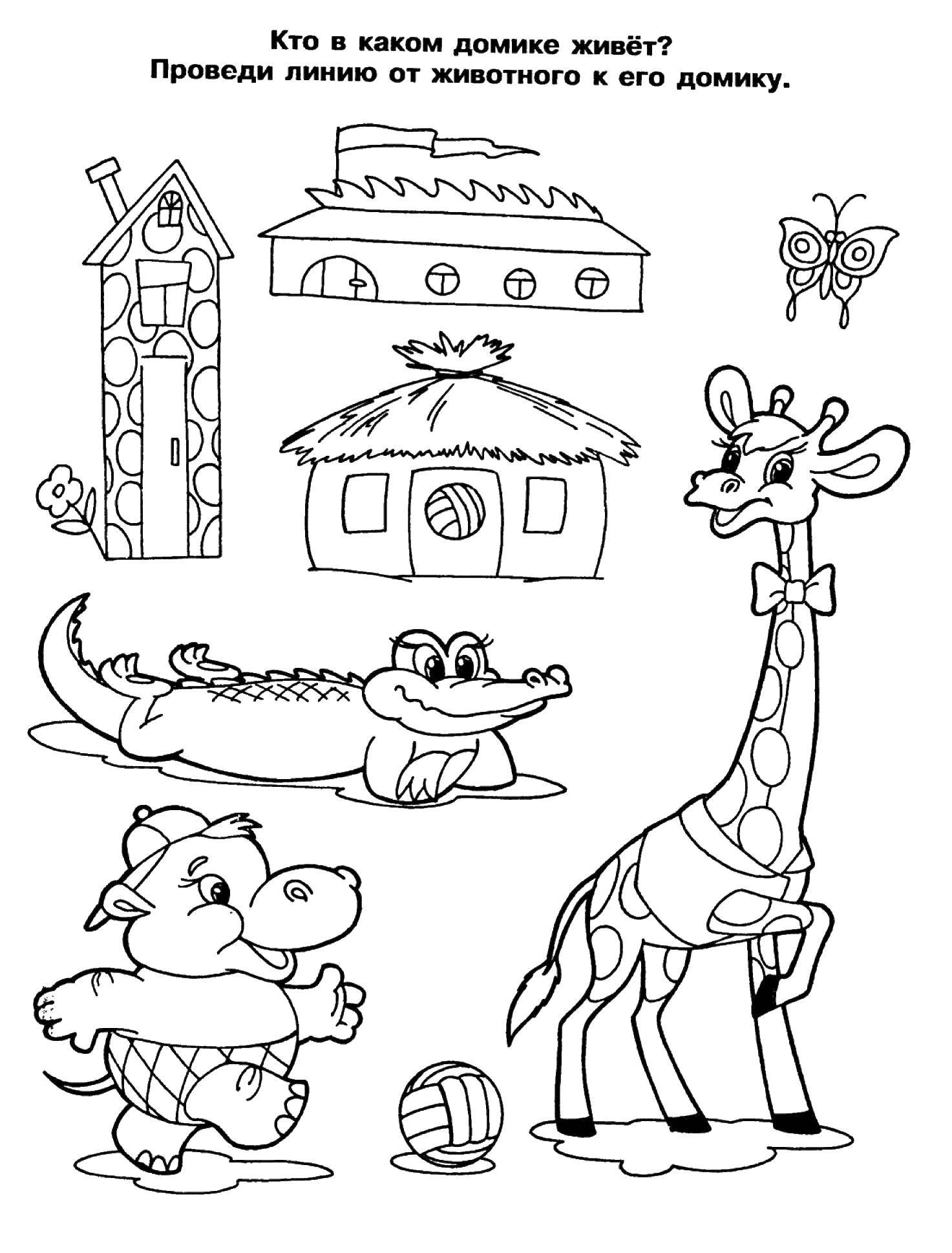 Coloring Run a line from the animal to the house. Category coloring for little ones. Tags:  for little, thinking.
