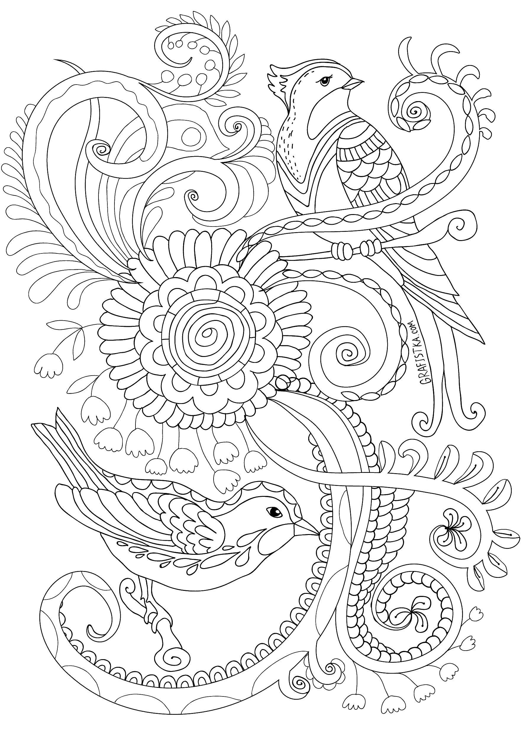 Coloring Bird on a branch. Category coloring antistress. Tags:  birds.