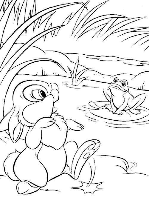 Coloring Drawing a frightened rabbit in the pond. Category Pets allowed. Tags:  hare, rabbit.