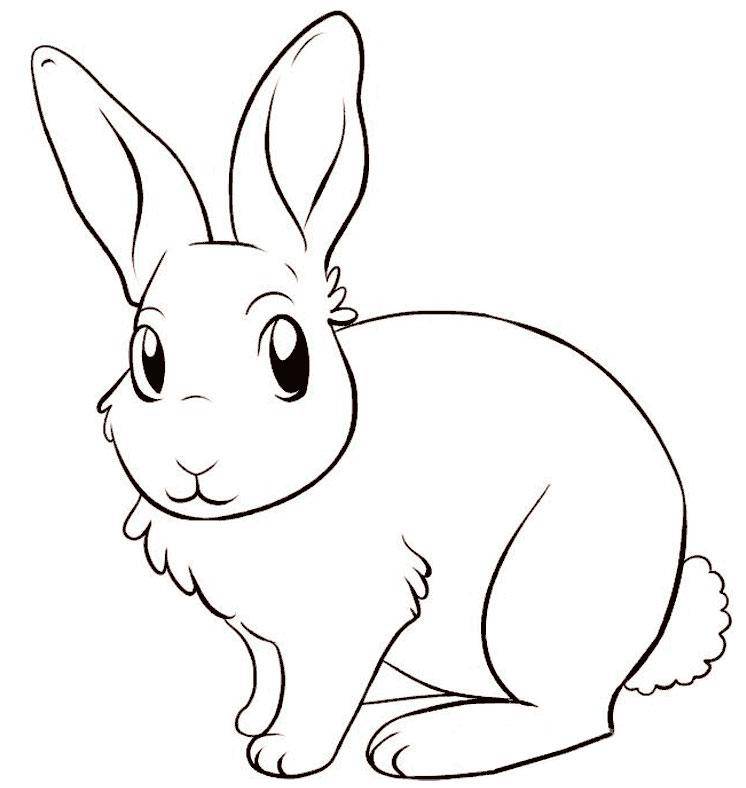Coloring A picture of a Bunny. Category Pets allowed. Tags:  hare, rabbit.