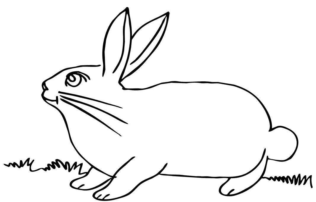 Coloring A picture of a Bunny. Category Pets allowed. Tags:  hare, rabbit.