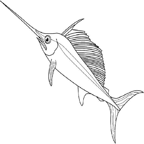 Название: Раскраска Рыба меч. Категория: рыбы. Теги: рыбы, рыба меч, морские жители.
