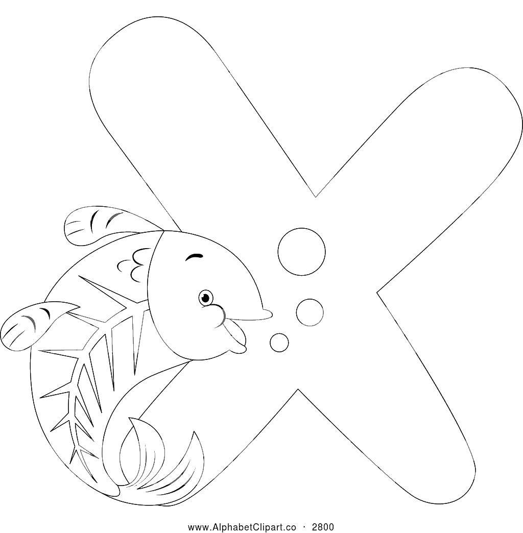 Coloring The fish and the letter x. Category fish. Tags:  fish, fishes, X.