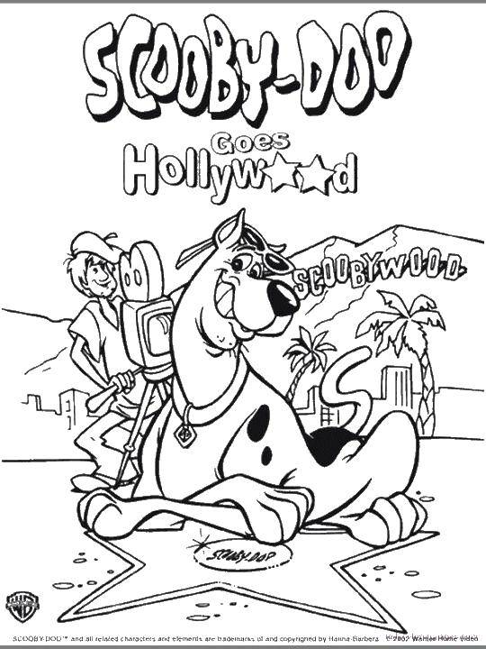 Coloring Scooby Doo in Hollywood. Category cartoons. Tags:  cartoons Scooby Doo, Hollywood.