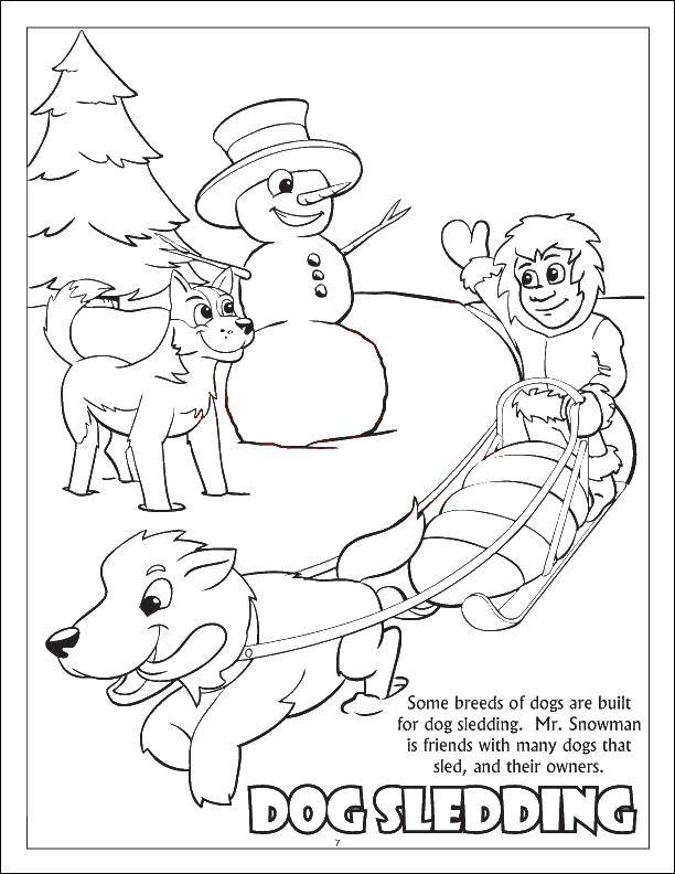 Название: Раскраска Собака тащит сани. Категория: зима. Теги: ЗИМА, СНЕГ, САНИ, СОБАКИ.