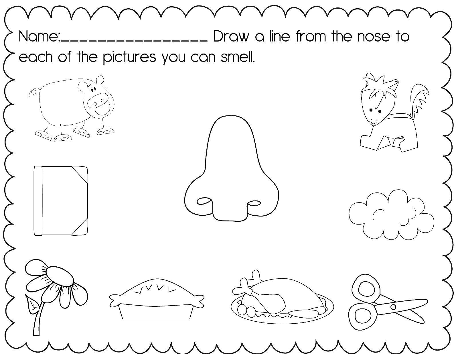 Coloring Connect the lines from the nose to the things that you can smell. Category coloring. Tags:  nose, things, thinking.