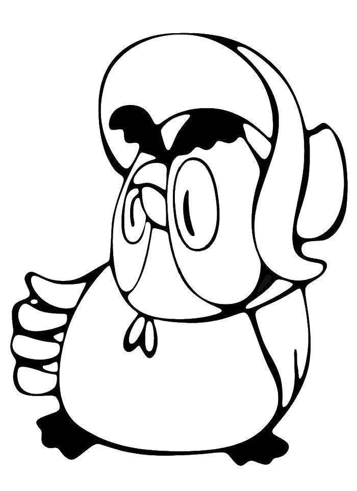 Coloring Owl in a hat. Category birds. Tags:  birds, owl, hat.