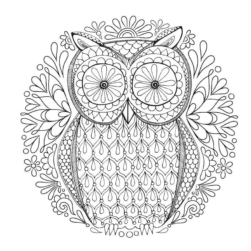 Coloring Owl. Category coloring antistress. Tags:  Owl.