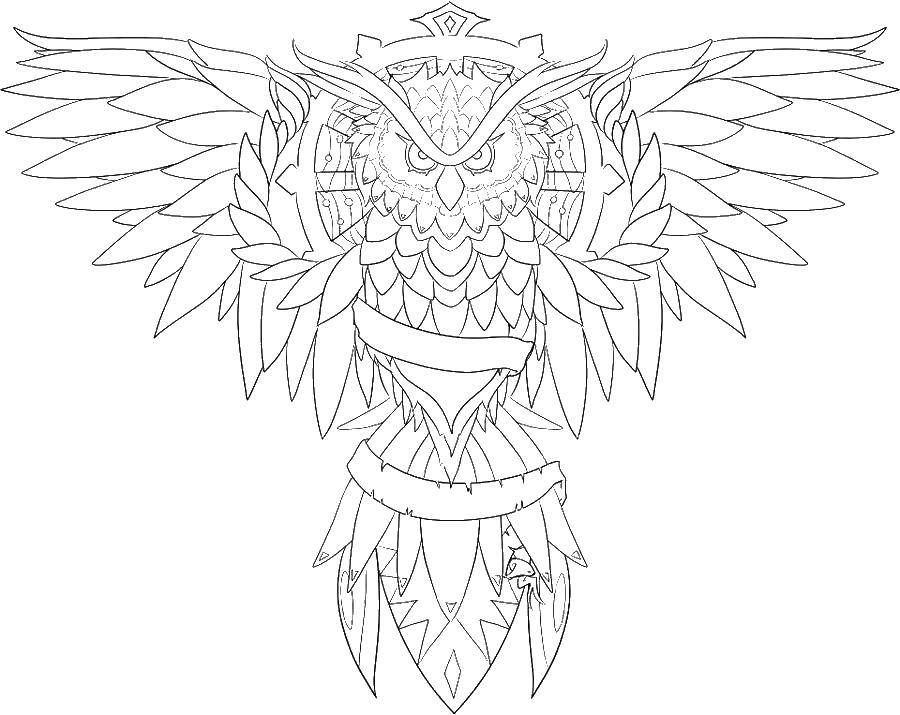 Coloring Owl. Category coloring. Tags:  owls, birds, feathers.