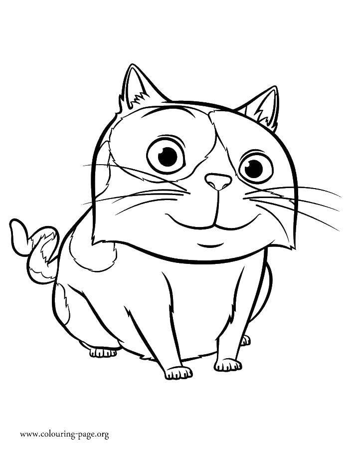 Название: Раскраска Толстый котик. Категория: Коты и котята. Теги: коты, животные, кошка.