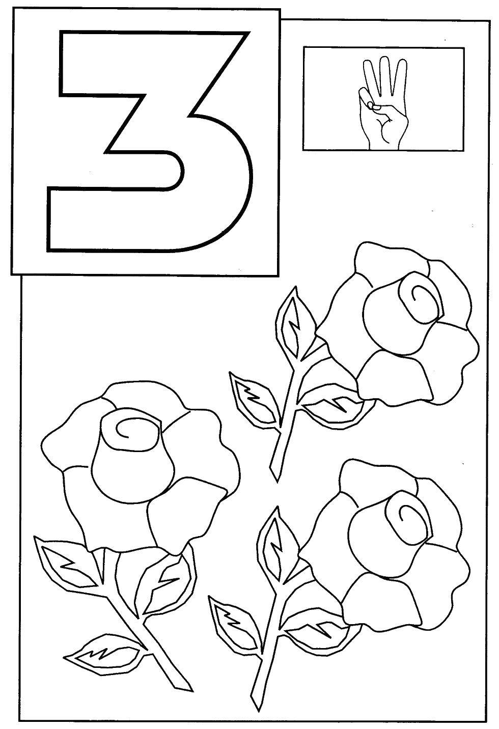 Coloring Three roses. Category Learn to count. Tags:  counting, numbers, three.